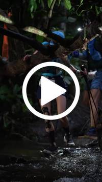 BIB:  <button type="button" onclick="openModal(27560671)" class="btn btn-primary btn-sm float-right" data-toggle="modal" data-target=".modal-high-quality">
                <i class="fa fa-download"></i> Download
                </button>